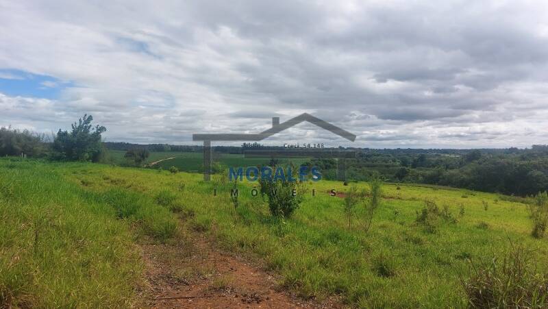 Fazenda à venda com 3 quartos, 100m² - Foto 8