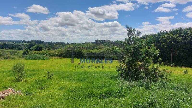 Fazenda à venda com 3 quartos, 100m² - Foto 56