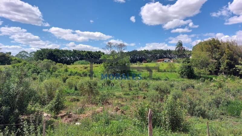 Fazenda à venda com 3 quartos, 100m² - Foto 81