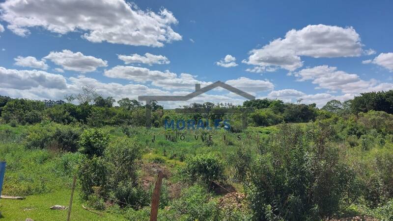 Fazenda à venda com 3 quartos, 100m² - Foto 82